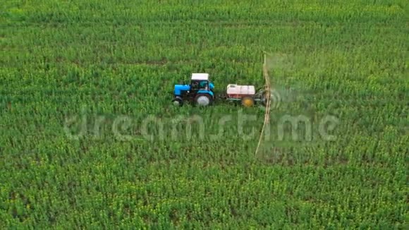 拖拉机在油菜田上喷洒肥料的空中视野视频的预览图