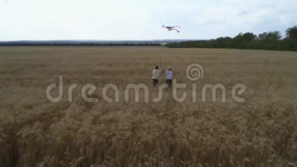 两个男孩带着风筝沿着麦田奔跑团队合作户外游戏童年梦视频的预览图
