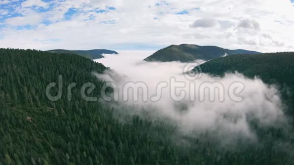 鸟瞰令人惊叹的绿色山谷在森林和雾中飞行的无人机视频的预览图