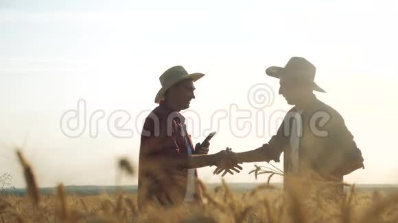 两名农民在日落时分在一块田里集体握手红脖子检查小麦作物男性农民握手学习视频的预览图