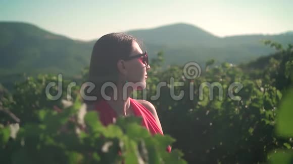 一个穿红衣服的女孩站在葡萄园里在葡萄园里戴着眼镜的长发女孩视频的预览图