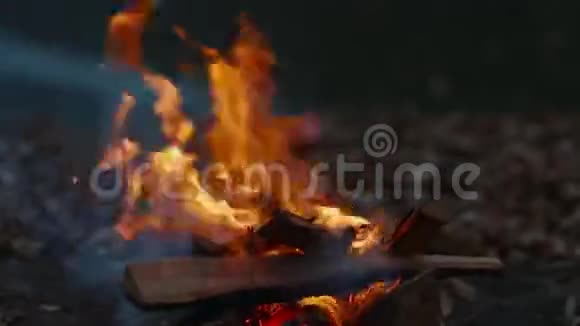 秋天湖边的篝火视频的预览图
