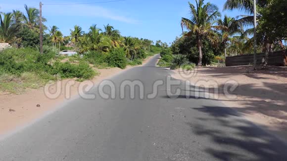 有消失点的道路和棕榈树视频的预览图