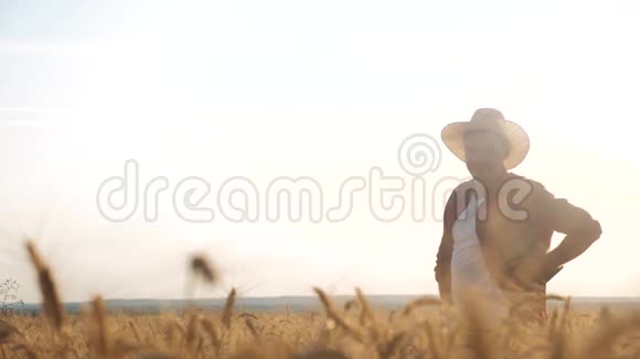 日落时分农民红脖子在田里检查小麦作物戴着帽子格子衬衫的男农民剪影在工作视频的预览图