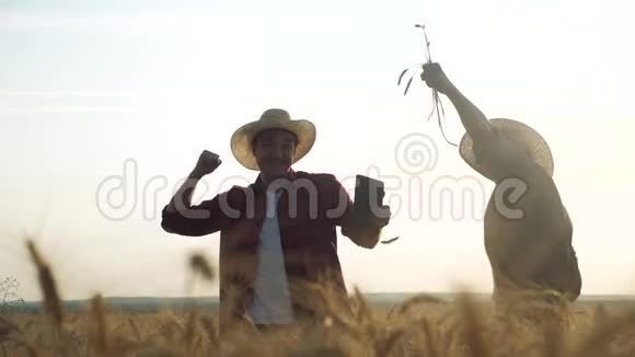 农业耕作两个农民成功胜利团队红脖子在一片田野检查小麦作物在日落男性视频的预览图