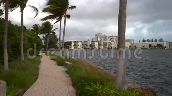迈阿密佛罗里达州海湾的风景步道视频的预览图