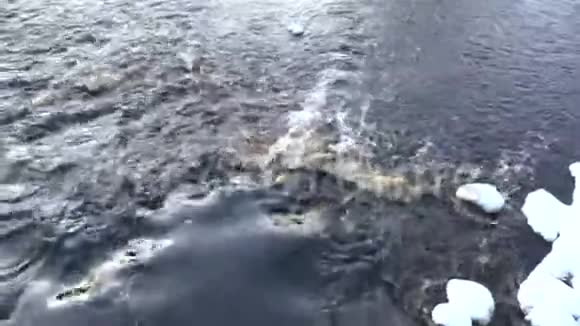 冬季日落时水流湍急视频的预览图
