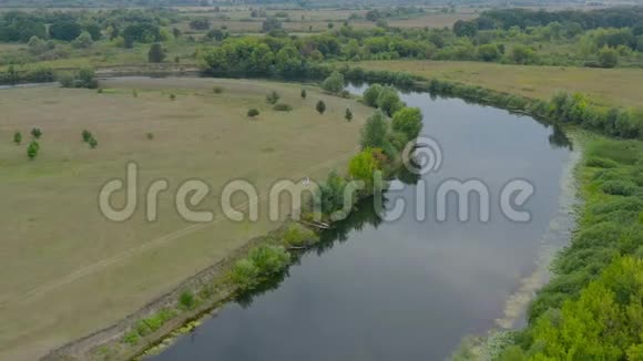 鸟瞰美丽的景观河流草地和绿色落叶树鸭子冲到水里视频的预览图