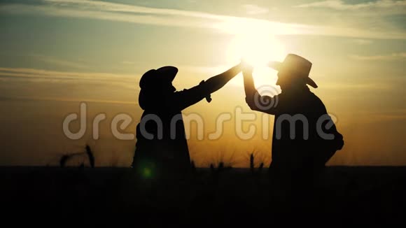 农业耕作两个农民团队合作在一片土地上握手红脖子在日落时检查小麦作物男性农民视频的预览图