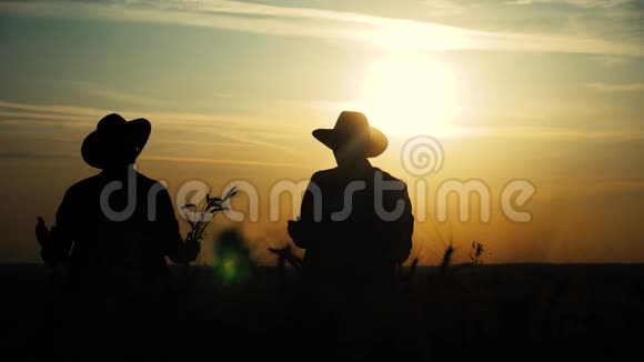 农业耕作两个农民男子团队在一片田野上剪影红脖子在日落时检查小麦作物男性农民视频的预览图
