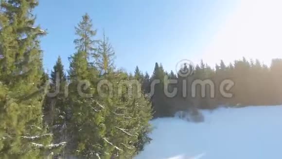 鸟瞰周围的云杉和雪景远处可见的山脉视频的预览图