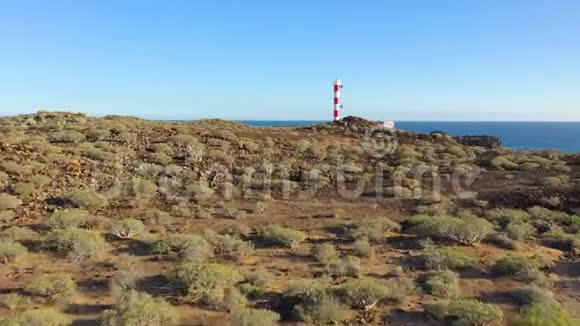 从加那利群岛特内里费灯塔和自然保护区的高度看西班牙野生海岸视频的预览图