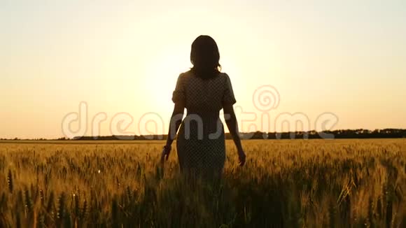 日落时女孩的剪影穿着衣服的女孩正在金色的麦穗中朝太阳走来视频的预览图
