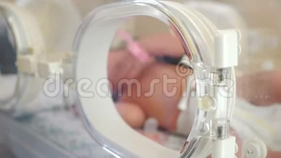 新生儿科理念新生儿宝宝由医生新生儿科医生和护士护理小身体上的医疗器械劳动视频的预览图