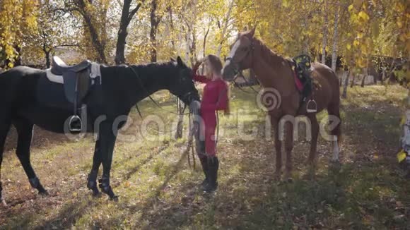 美丽的白种人女性马术留着长长的卷发在秋天的森林里站着两匹马年轻女子视频的预览图