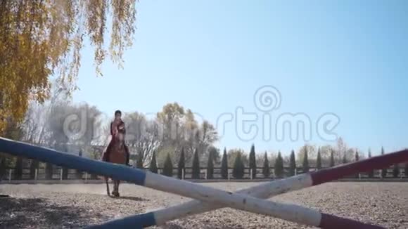 穿着粉红色衣服头戴骑马帽的年轻黑发白人女孩骑着棕色优雅的马跳过障碍视频的预览图