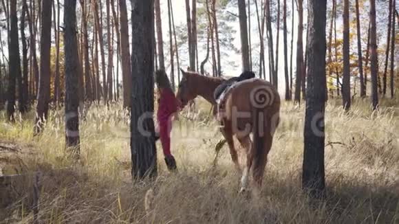 一个穿粉红色衣服的年轻白人女孩在秋天的森林里骑着一匹漂亮的棕色马在树间散步漂亮的视频的预览图