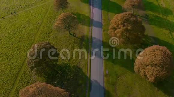 摄像机沿着道路倾斜显示停放的汽车和英国农村视频的预览图