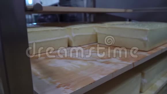 在奶酪工厂里奶酪制造商检查奶酪的调料视频的预览图