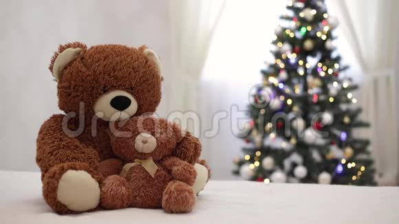 圣诞快乐灰色搞笑猫躺在沙发上背景是孩子们的玩具泰迪熊大大小小都是视频的预览图