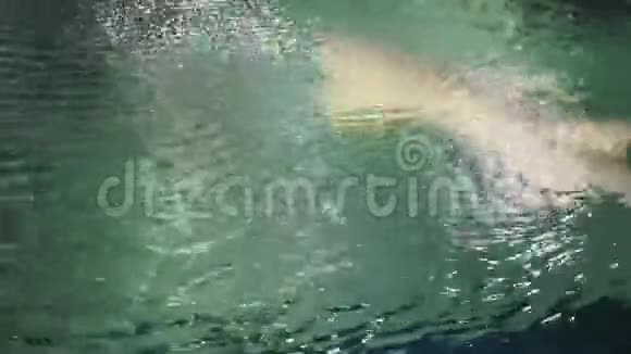 水因光而涟漪鱼在水下游泳文本放置的背景片段复制空间视频的预览图