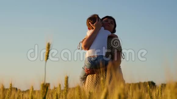 日落时母亲把儿子抱在怀里抱在麦田里的蓝天上一位母亲抱着孩子视频的预览图