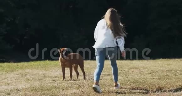 快乐的年轻女性兴高采烈地和狗在草坪上玩耍和跑步与家畜的爱情和友谊视频的预览图