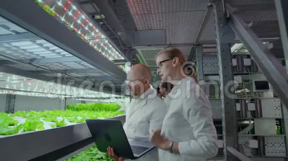 一组科学家利用电脑和平板电脑探索垂直农场种植的蔬菜蔬菜农场视频的预览图