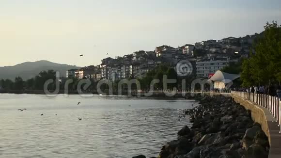城市港湾海滨与海上海鸥视频的预览图