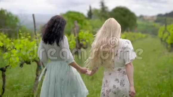 两个朋友正穿过葡萄园周围漂亮整齐的藤蔓视频的预览图