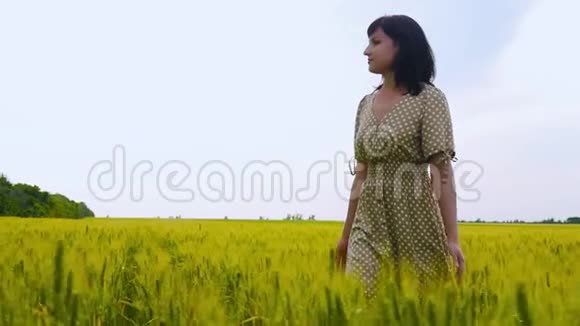 一个年轻的女人在田野里的麦穗里美丽的无忧无虑的女人享受大自然和阳光视频的预览图
