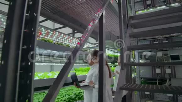 农业工程师在种植园工作四位现代科学家的全长画像视频的预览图