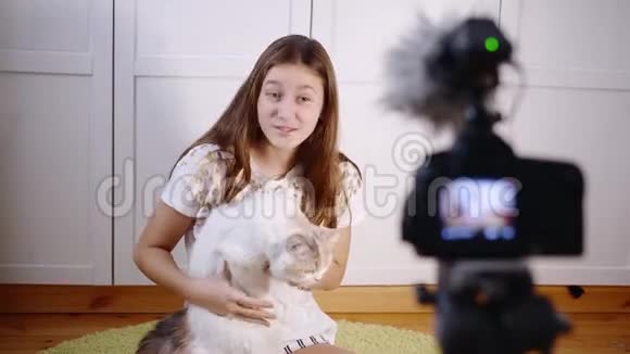一个年轻快乐的女孩微笑着和猫玩耍在阳光明媚的da期间在舒适的家中的房间里用相机博客制作社交媒体视频的预览图