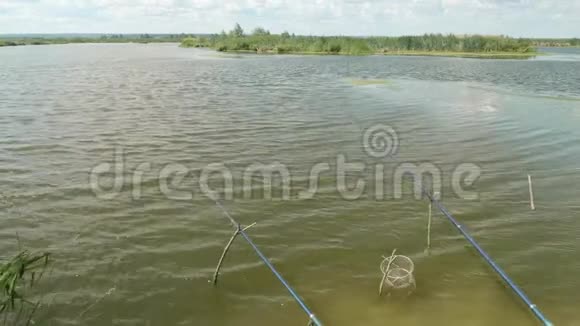 天然池塘水面两根钓竿捕鱼过程男人爱好视频的预览图