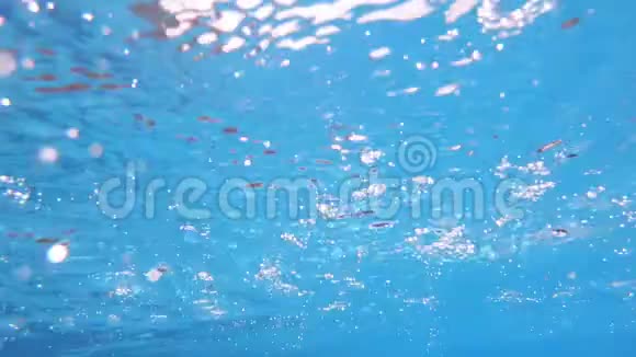 在水下拍摄土耳其酒店游泳池视频的预览图