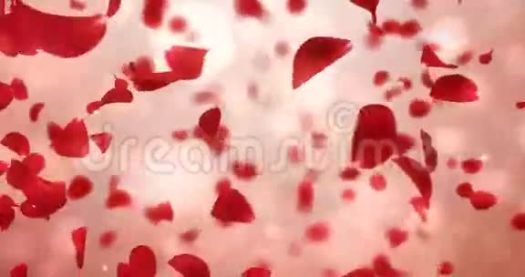 回旋飞舞浪漫轻红玫瑰花瓣背景循环4k视频的预览图
