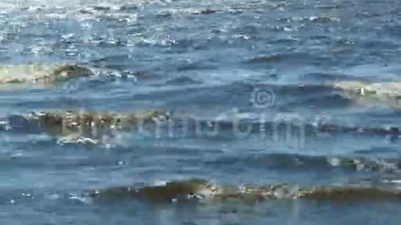 海上夏日眩光在水面上视频的预览图