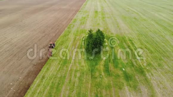 农民在红色动力拖拉机上支撑轮上有一个旋转犁在一棵绿色桦树旁边犁出棕色的土壤视频的预览图