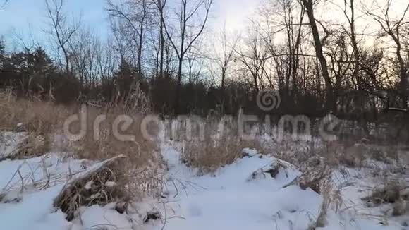 爱荷华州中西部农村的积雪覆盖草原草视频的预览图