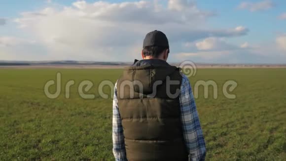 戴着帽子的农夫红脖子正走在绿色的田野上收获农业概念冬小麦绿的雄性行走视频的预览图