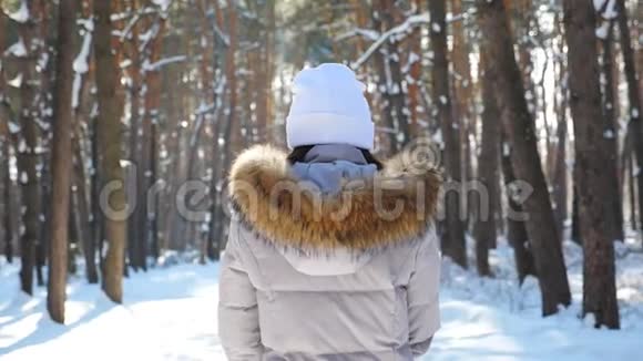 在阳光明媚的冬天森林里散步的女人的后景无法辨认的女孩正在雪林中漫步视频的预览图