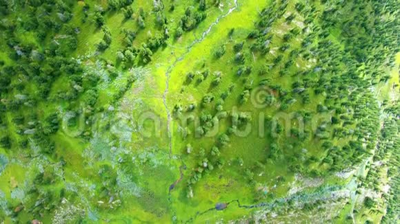 美丽的绿色山谷长满了森林草苔藓溪流从顶部查看视频的预览图