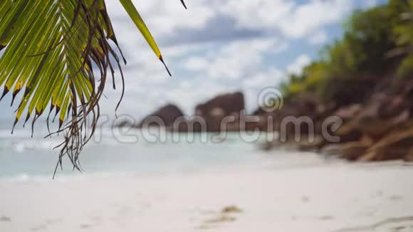 棕榈叶在微风中摇曳海浪翻滚到热带海滩太阳耀斑反射海水视频的预览图