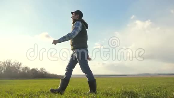 一个农民戴着帽子的脖子正在绿色的田野上行走春收农业理念冬小麦的雄性行走视频的预览图