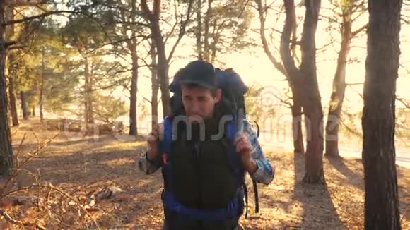 徒步旅行者带着背包徒步穿越森林旅游生活方式旅游冒险视频的预览图
