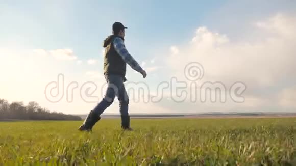 一个农民戴着帽子的脖子正走在绿色的田野上春收农业理念生活方式男性散步视频的预览图
