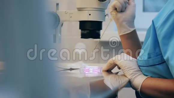 化学研究在显微镜下进行实验室的科学工作者视频的预览图
