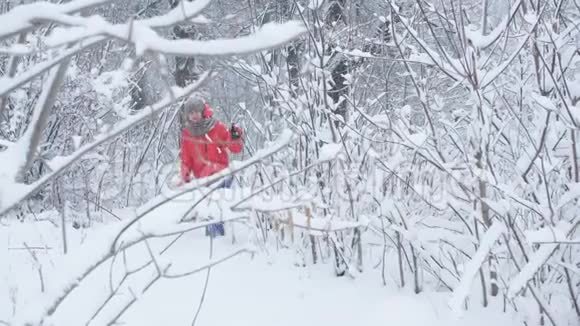 女旅行者跳过了覆盖着雪的森林雪挂在树枝上碰了就碎了视频的预览图