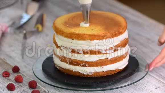 糕点厨师制作美味的分层蛋糕假日派对上的美味甜点视频的预览图