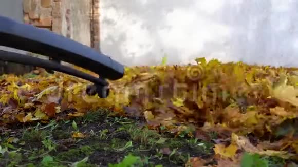 用吹叶机清洗秋叶视频的预览图